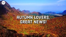 Experts Say Fall Foliage Will Be Stunning This Year