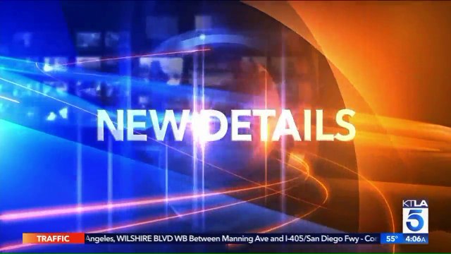 Man Arrested After Running Onto Runway at Los Angeles Airport