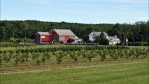 Jobs That Require a Lot of Walking on a Tree farm