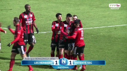 Championnat National, 21e journée : tous les buts