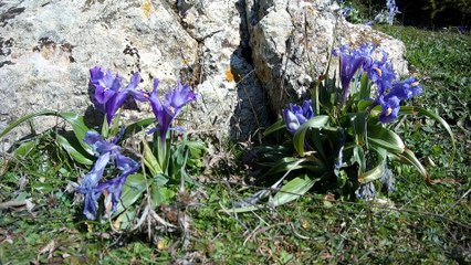 Sierra de las Cabras
