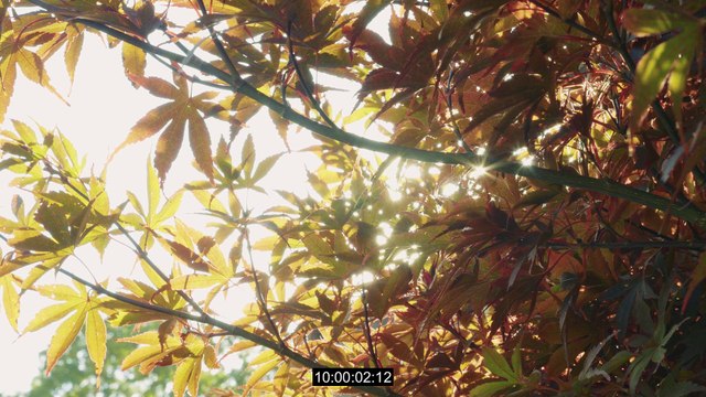 BELVEDERE KERRY KATONA-Liposuction and Tummy Tuck