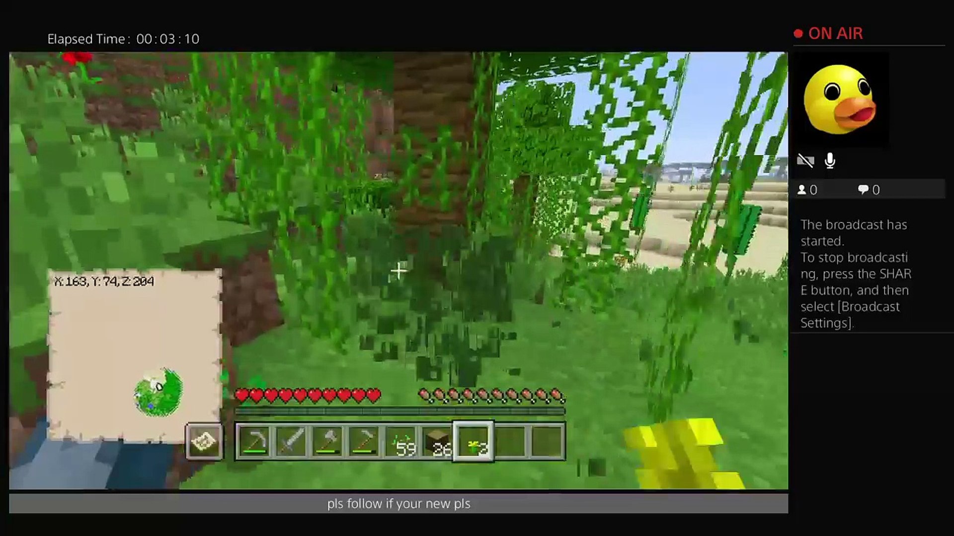 minecraft survival world pls enjoy (30)