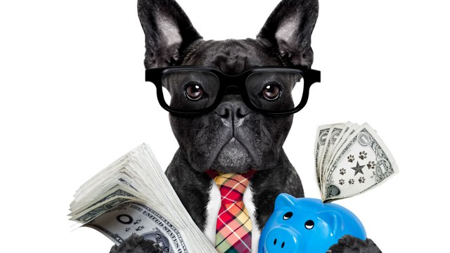 Debt Diet: 3 Ways to Save Money & Pay Off Loans