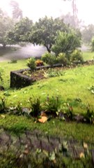 Severe Storm Flooding