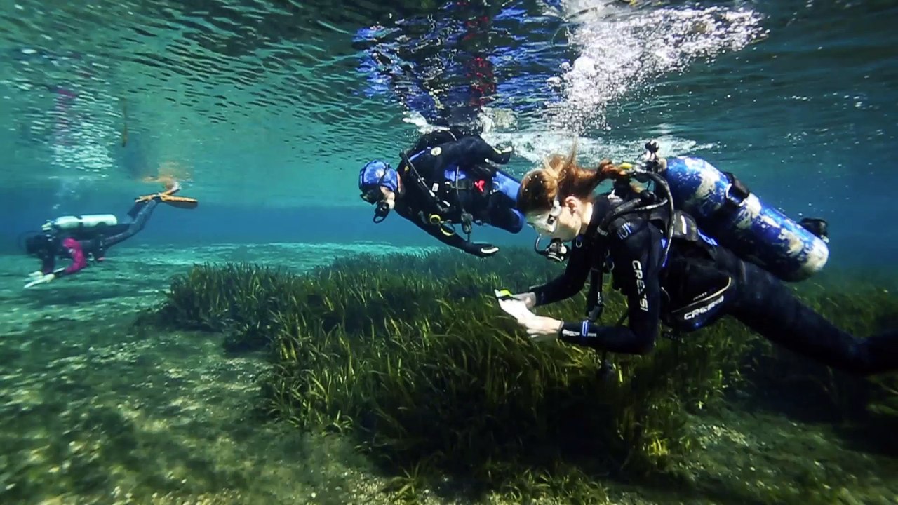 Scubapro GO Fins Win ScubaLab Testers Choice