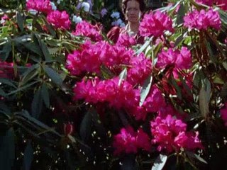 The Adventures of Sherlock Holmes S05E02 The Problem of Thor Bridge