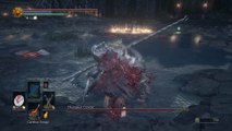 Champion Gundyr Twin Daggers No Damage Taken