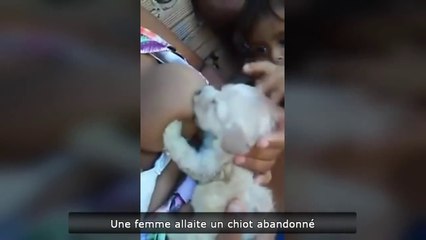 Le Zap de Spi0n n°298
