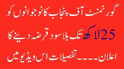 Interest Free Loans For Youth By Punjab Govt Upto 2.5 Millions