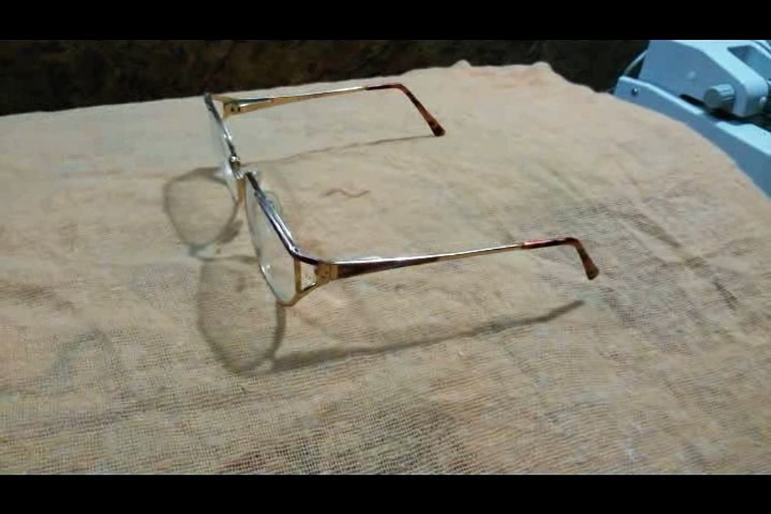 Eyeglasses Fox