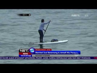 Menteri Susi Berenang & Amati Hiu Paus - NET 5