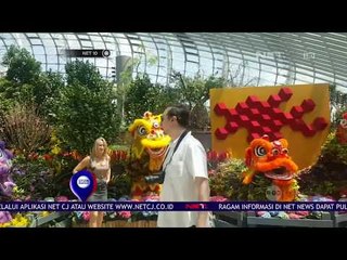 Bunga Dahlia Hiasi Garden By The Bay - NET 10