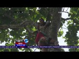 Aksi Penyelamatan Warga yang Pingsan di Atas Pohon - NET24