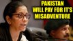 Nirmala Sitharaman on Sunjuwan attack says 'Pakistan will pay for its misadventure' | Oneindia News