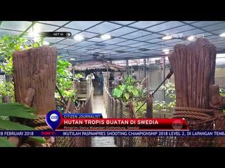 Hutan Tropis Buatan Di Swedia - NET 10