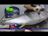 Nelayan Panen 10-15 Ton Ikan Tuna Per Hari  - NET 12