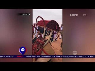 Festival Unta King Abdul Aziz- NET 12