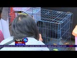 7 Penjual Satwa Dilindungi Ditahan Petugas - NET24