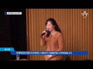 남북 태권도 시범공연…"北 태권도, 우직하네요”