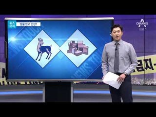 [뉴스터치]‘설악산 케이블카 사업허가 취소’ 소송