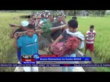 Buaya 3 Meter Dievakuasi dari Kandang Ternak Warga di Gorontalo NET24