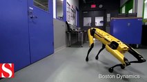 Boston Dynamics’in robotu kapıyı açıyor, arkadaşı için onu tutuyor