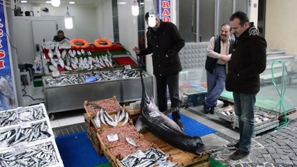 Marmara'da yaklaşık 2,5 metrelik kılıç balığı yakalandı - KIRKLARELİ