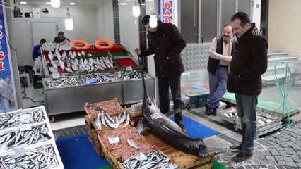 Marmara'da Yaklaşık 2,5 Metrelik Kılıç Balığı Yakalandı - Kırklareli