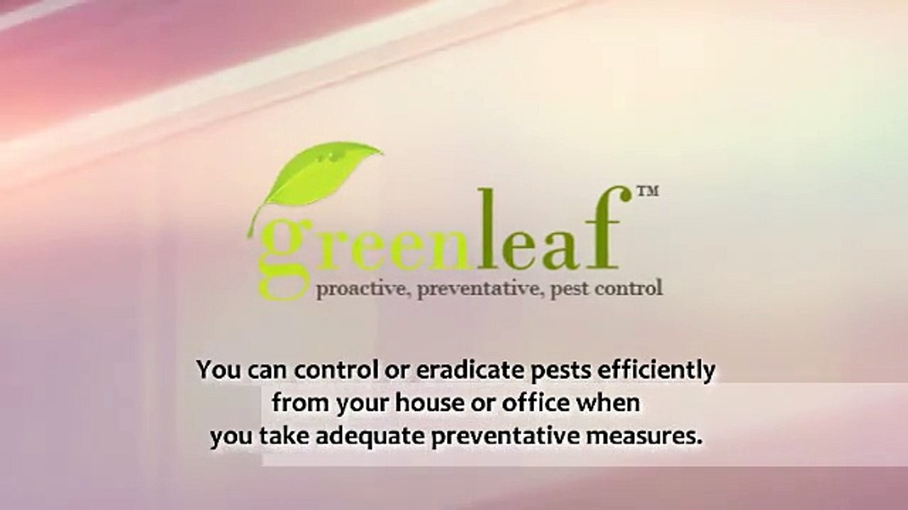Looking For Pest Control Services - Greenleafpestcontrol.com