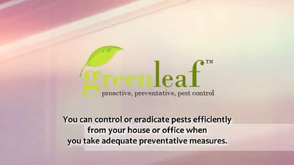 Looking For Pest Control Services - Greenleafpestcontrol.com