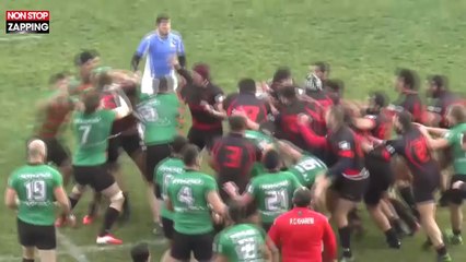 Bagarre générale lors d'un match de rugby (vidéo)