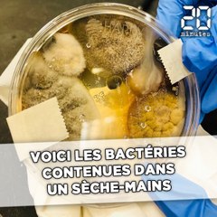 Elle publie une photo des bactéries contenues dans un sèche-mains