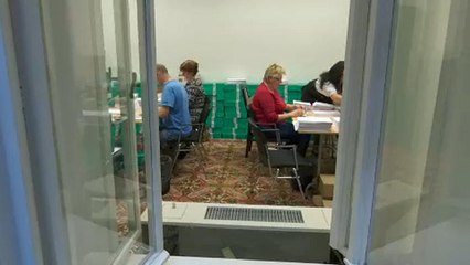 Diszkriminatív, hogy nem minden külföldön élő magyar szavazhat levélben