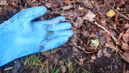 des collages pour la saint valentin