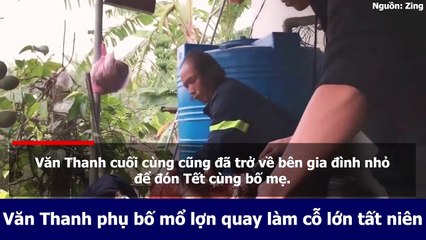 Văn Thanh phụ bố mổ lợn quay làm cỗ lớn tất niên