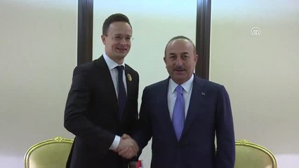 Dışişleri Bakanı Çavuşoğlu, Macar Mevkidaşıyla Görüştü