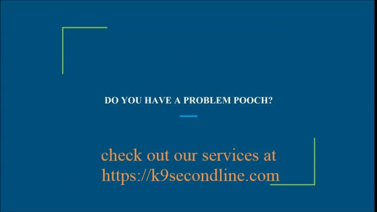 DO YOU HAVE A PROBLEM POOCH - k9secondline