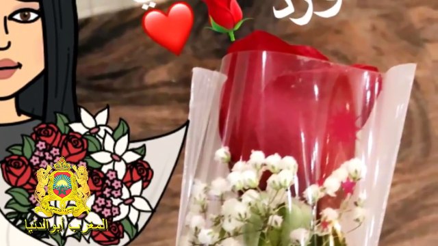 مــفــاجــأة : شاهدوا الهدية الغير متوقعة التي أحضر “محمد الترك” لزوجته “دنيا باطمة” بمناسبة عيد الحب
