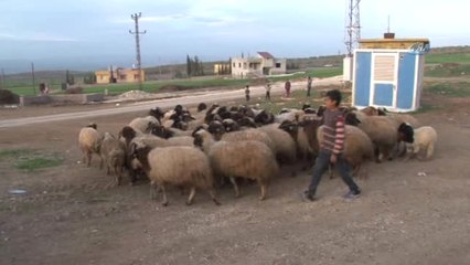 Bombardıman Altında Çocuk Olmak