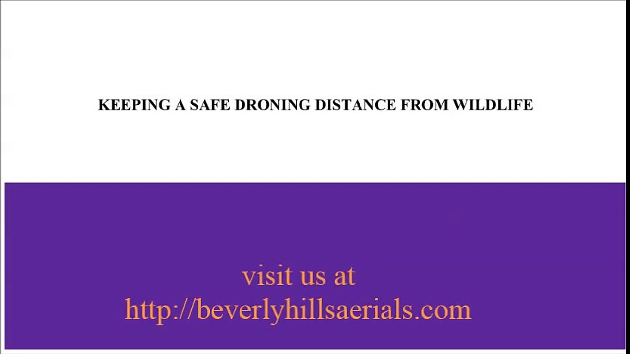 KEEPING A SAFE DRONING DISTANCE FROM WILDLIFE - beverlyhillsaerials