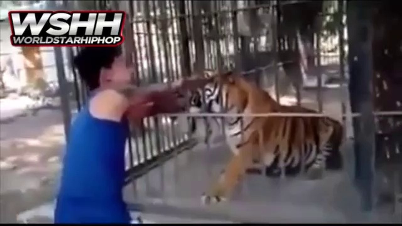 Ne jamais mettre son bras dans la cage d'un tigre...