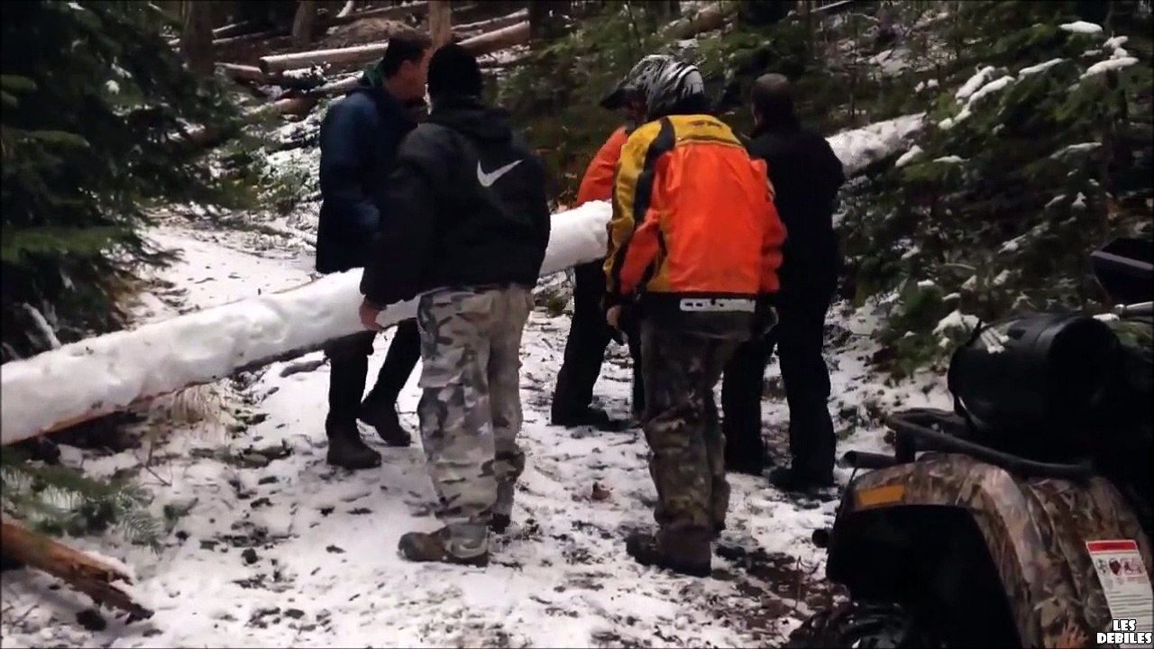 Cet arbre bloquait la route mais il n'a pas dit son dernier mot... FOU