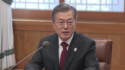 문재인 대통령 "미국도 남북대화 긍정적으로 본다" / YTN