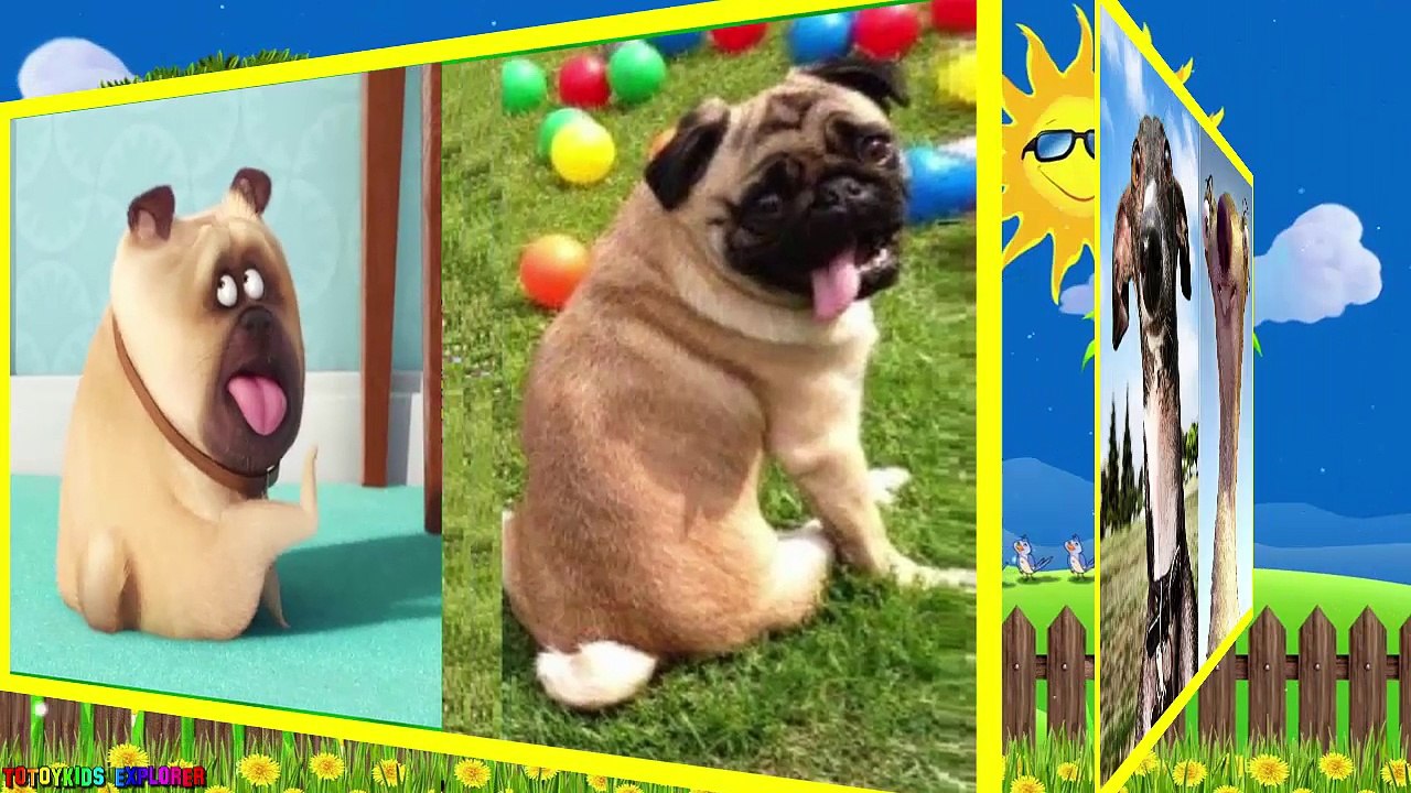 Dogs Cartoon in Real Life 2018