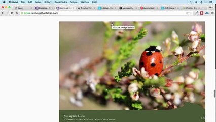 Learn Web Development with Bootstrap & 25 Projects