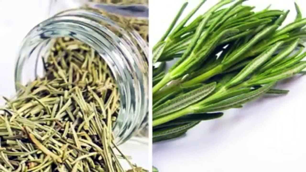 Alecrim Dourado Cantiga de Roda