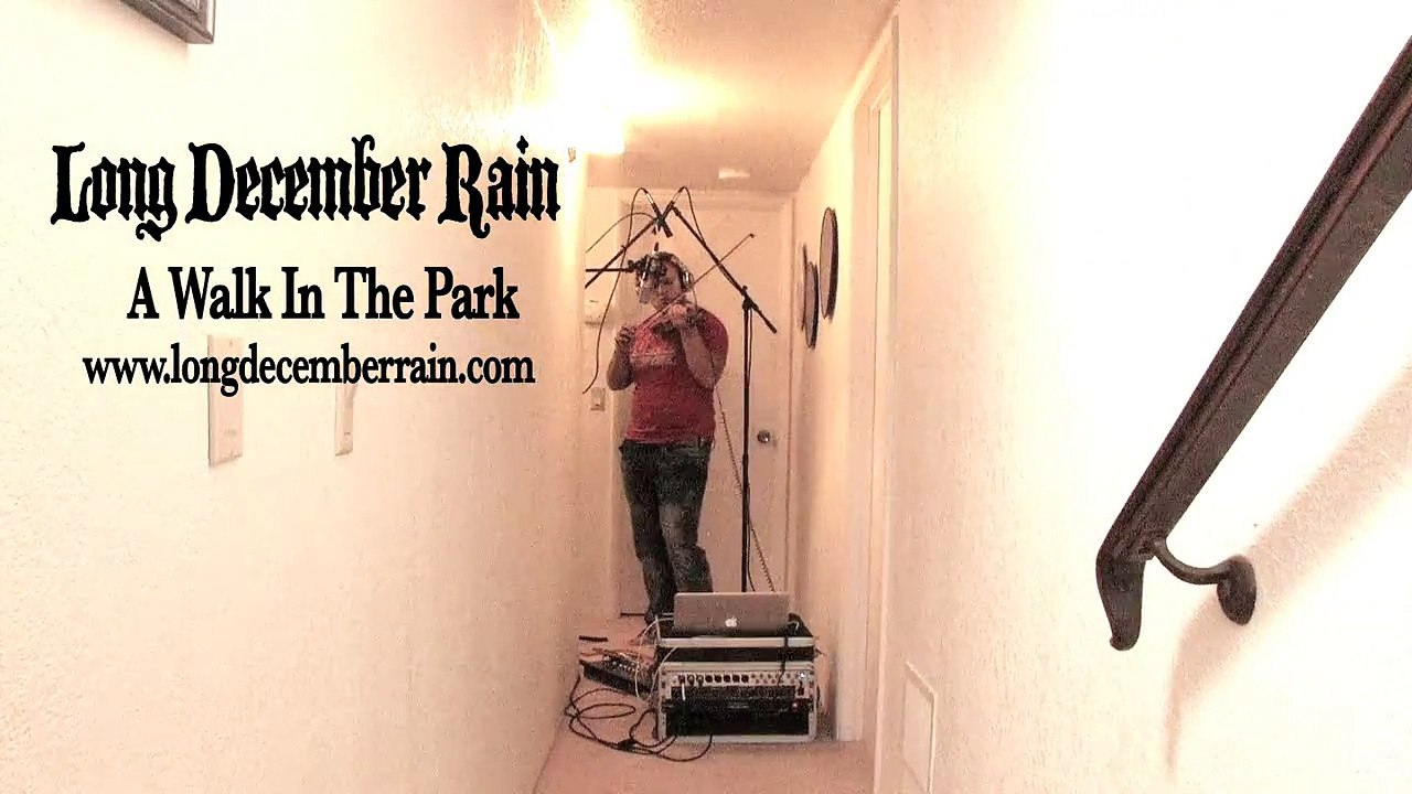 Long December Rain - A Walk In The Park Violin Instrumental