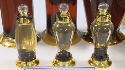 무허가 말벌주 제조 유통 무더기 적발 / YTN