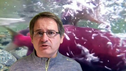 Reclaman la demolición de una antigua presa en el EO que es un obstáculo para salmones y angulas